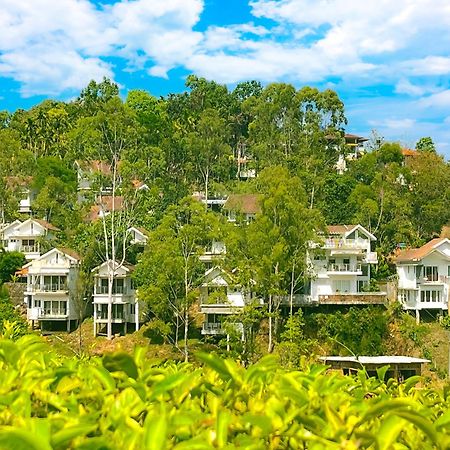 Dazzle Villa Resort Калпетта Екстер'єр фото